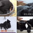 주운농장 이미지