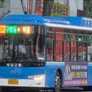 석전동262 이미지