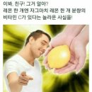 내가만든집