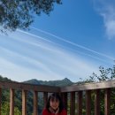 서나와 할아버지 통나무집 이미지