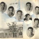 도안면사무소 이미지