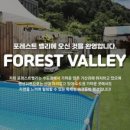 포레스트벨리 이미지