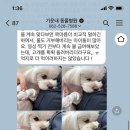 기운내 동물병원 이미지