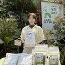 정농장 | 당진시 농업기술센터 26년 2월 당진농부시장 당장마켓 세잎농장 출점 후기