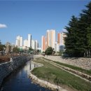 대구들안길초등학교 이미지