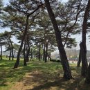구룡2통마을회관 네이버블로그