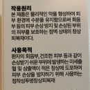 더드림케어 | [건강리뷰/내돈내산] 드림케어 스프레이 제품 리뷰