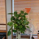 김현득행정사사무소 이미지