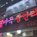 마곡광안리 | 마곡 발산역 숙성회 맛집 [마곡광안리] 광안숙성회 후기, 숙성횟집 메뉴와 가격