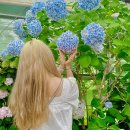 에프앤이 | [제품리뷰] ‘하얀눈꽃볼륨트리트먼트’ 노워시 트리트먼트 , 극손상모 추천