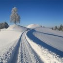 대설(大雪) 이미지