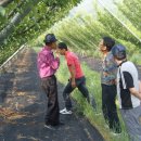 효재농장 이미지