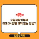 연말정산 세액공제를 위한 고향사랑기부제, 웰로(wello)를 통해 제주도에 기부해야하는 이유!