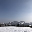 개미목장 이미지