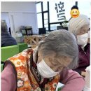 나비노인복지센터 네이버블로그
