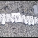 영도농장 이미지