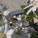 백남준로2 이미지