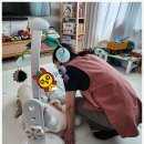 이레카톡서비스 이미지