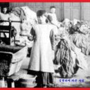 백산세탁소 | 24 독후기15 - 이처럼 사소한 것들