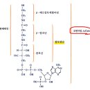 비타민약국 이미지