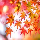 한결공인중개사사무소 이미지