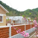 은정농장 이미지