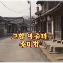 송미향