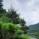 고미재펜션 이미지