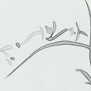 POP&캘리그라피 이미지