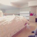 넥서스밸리 이미지