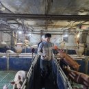 유전1농장 이미지