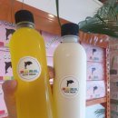 블루비치펜션 이미지