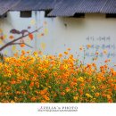 흥성마을 이미지