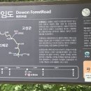 인제 천리길: 깊은 숲, 깨끗한 계곡, 명품 트레킹 이미지