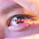 나주 속눈썹펌 더모눈 짧은 속눈썹 펌 리얼 후기