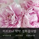 구슬구슬모란점 | 작약 꽃말부터 작약과 모란 차이까지! 기념일선물 추천 작약 생화꽃다발 미르보나