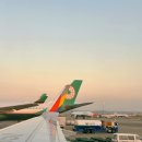 OZ | 아시아나항공 탑승 후기: OZ713 인천–타이베이 A321neo 좌석·기내식 리뷰