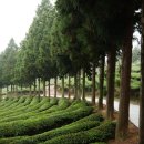 야간) 댄스스포츠(기초) 이미지