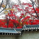 덕수궁길 Daum카페