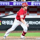 최정 카카오 검색결과