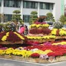 증평군청 이미지