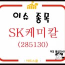 SK케마칼 주가 임상자 사망자 백신 투여군 아니였다 소식에 반등! 이미지