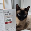 다움헤어 - 나주시 월정1길 10 | 반려다움 헤어볼 케어 솔직 후기 군밤이도 반한 고양이 헤어볼 간식
