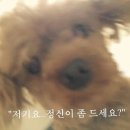 AND ROY(앤드로이)