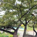 우산리입구 이미지