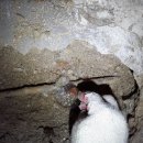 미성동-17 이미지