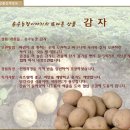 정안농장 이미지