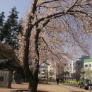 금강교옆 공원 이미지