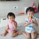 오투아일랜드 이미지