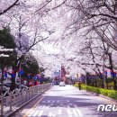 도구머리공원1-19 이미지